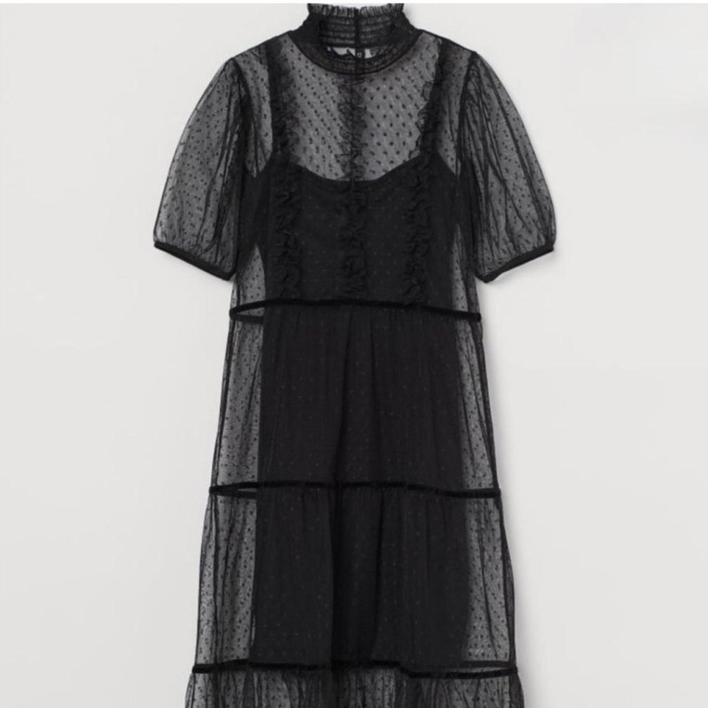 Elegant Black Sheer Dress